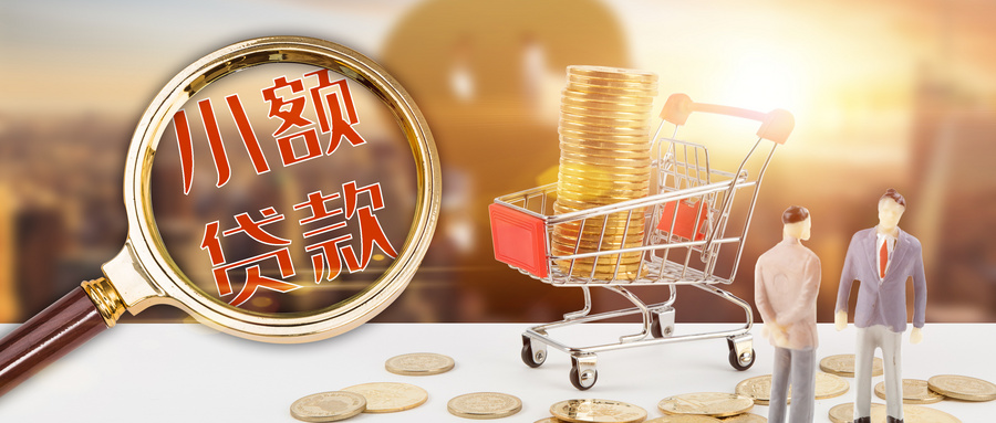 小额贷款公司