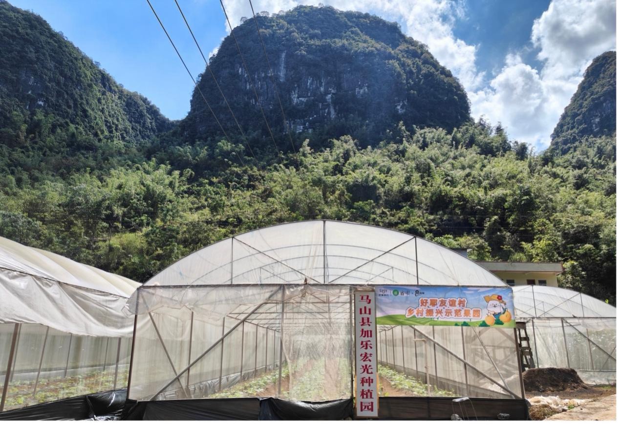 乡村振兴