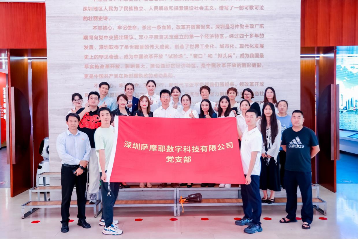 两优一先