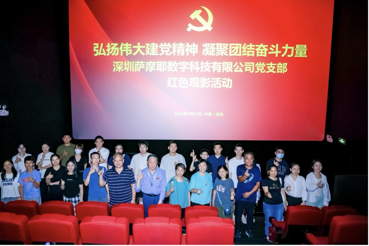 两优一先