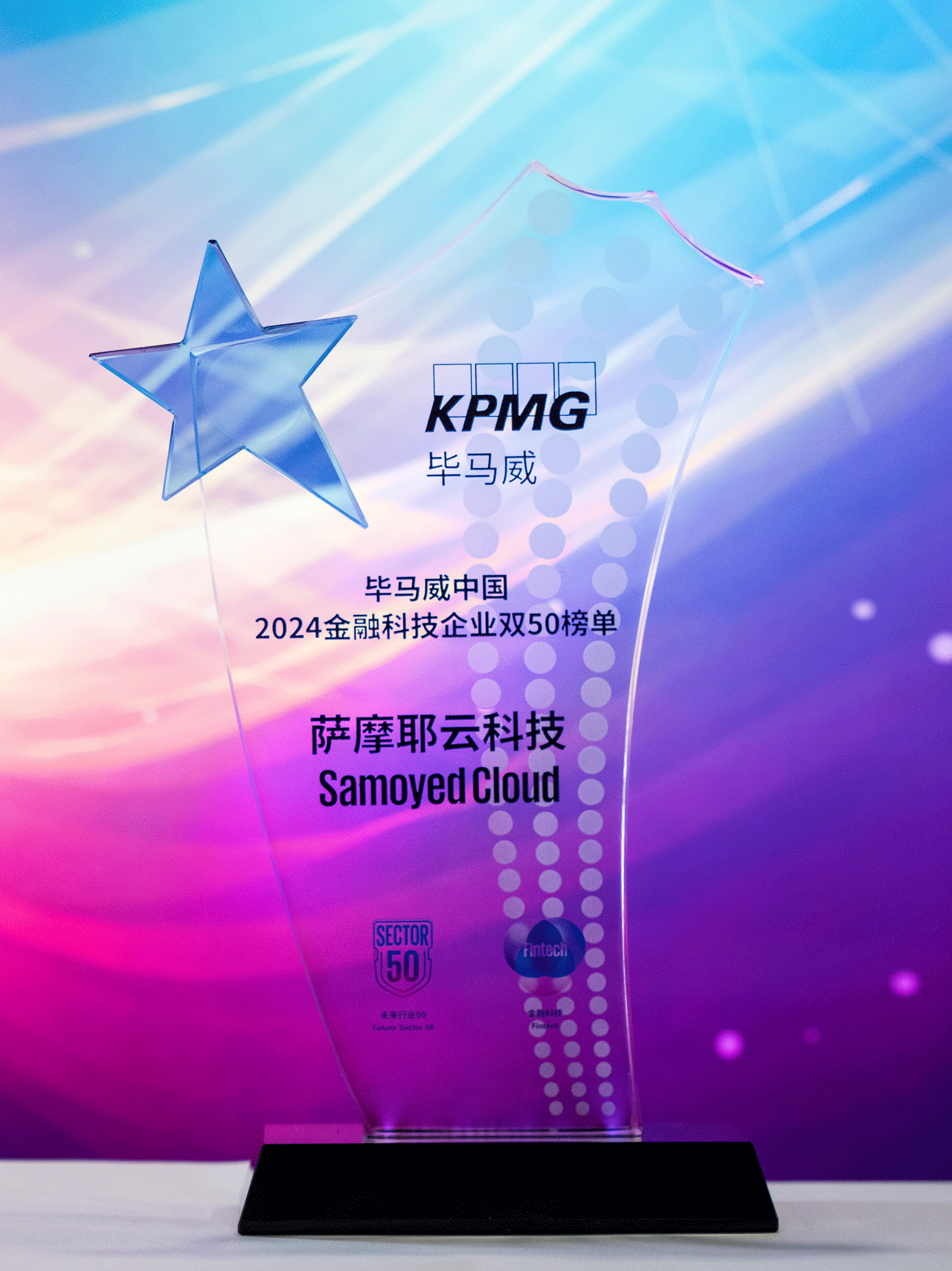 0113毕马威奖牌照片1.gif